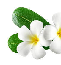 Royal Rose Malaysian & Thai Massage in St Albans, VIC