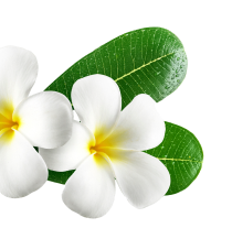 Royal Rose Malaysian & Thai Massage in St Albans, VIC